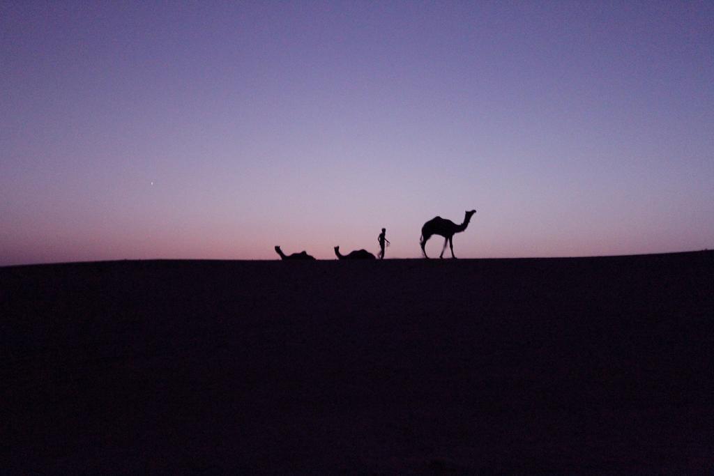 Hotel The Silk Route Jaisalmer Bagian luar foto